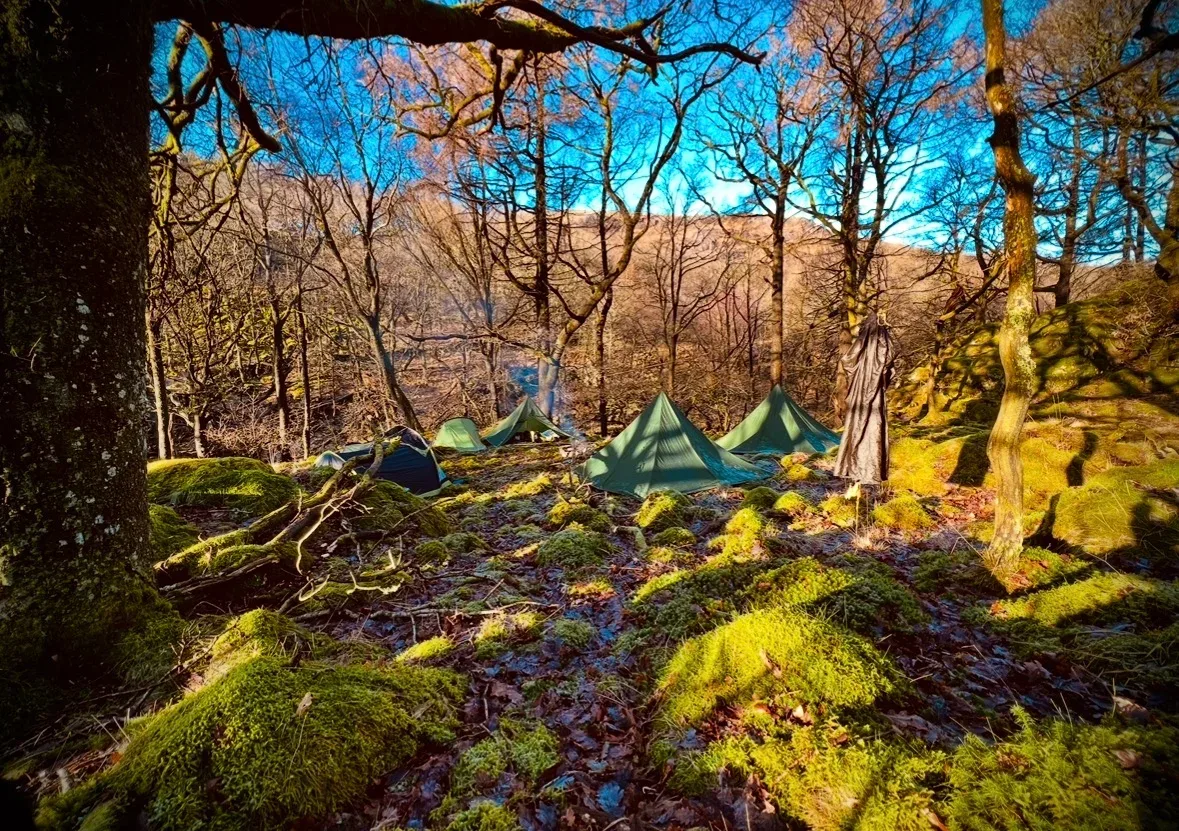 Green tents among trees and moss-covered rocks in sunlit woodland