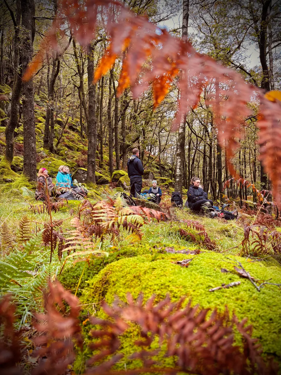 The group pausing among mossy rocks and autumn trees
