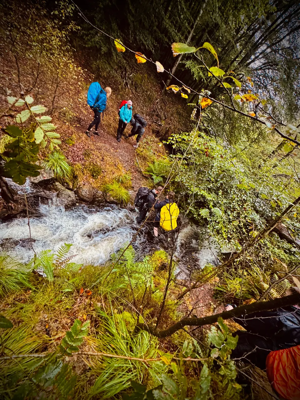Hikers beside a mountain stream