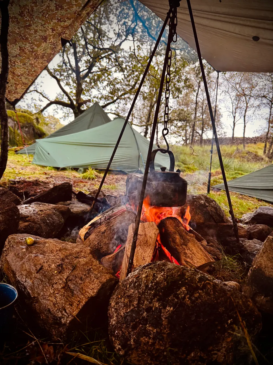 A kettle hanging over a campfire beside tents
