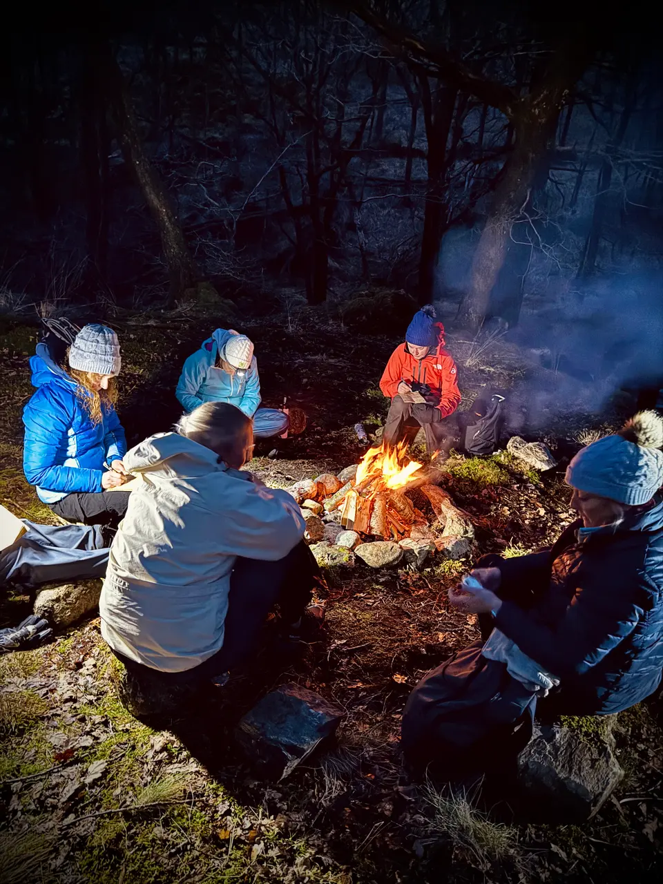 A group gathered around a campfire at night